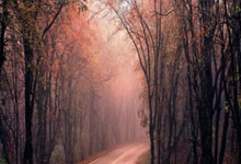 英超：科尔克兹4000万英镑转会利物浦，遗憾的是米兰202