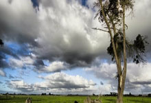 勇士队以大比分取胜，晋级西部半决赛