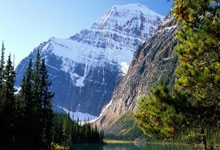 雄鹿队势不可挡连胜，崭露头角称霸东部夺冠